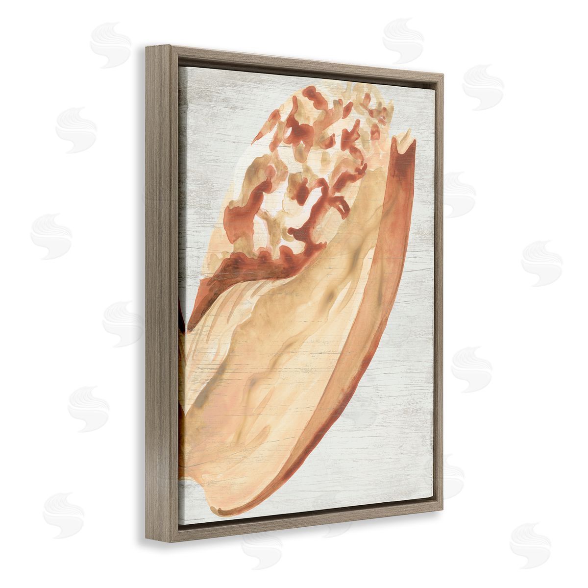 Rustic Beige Shell Brown Floating Frame Canvas Wall Art, Home Decor by June Erica Vess