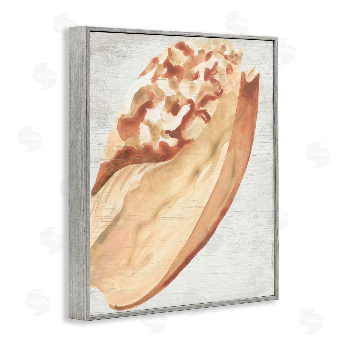 Rustic Beige Shell Grey Frame Print Wall Art, Home Decor by June Erica Vess
