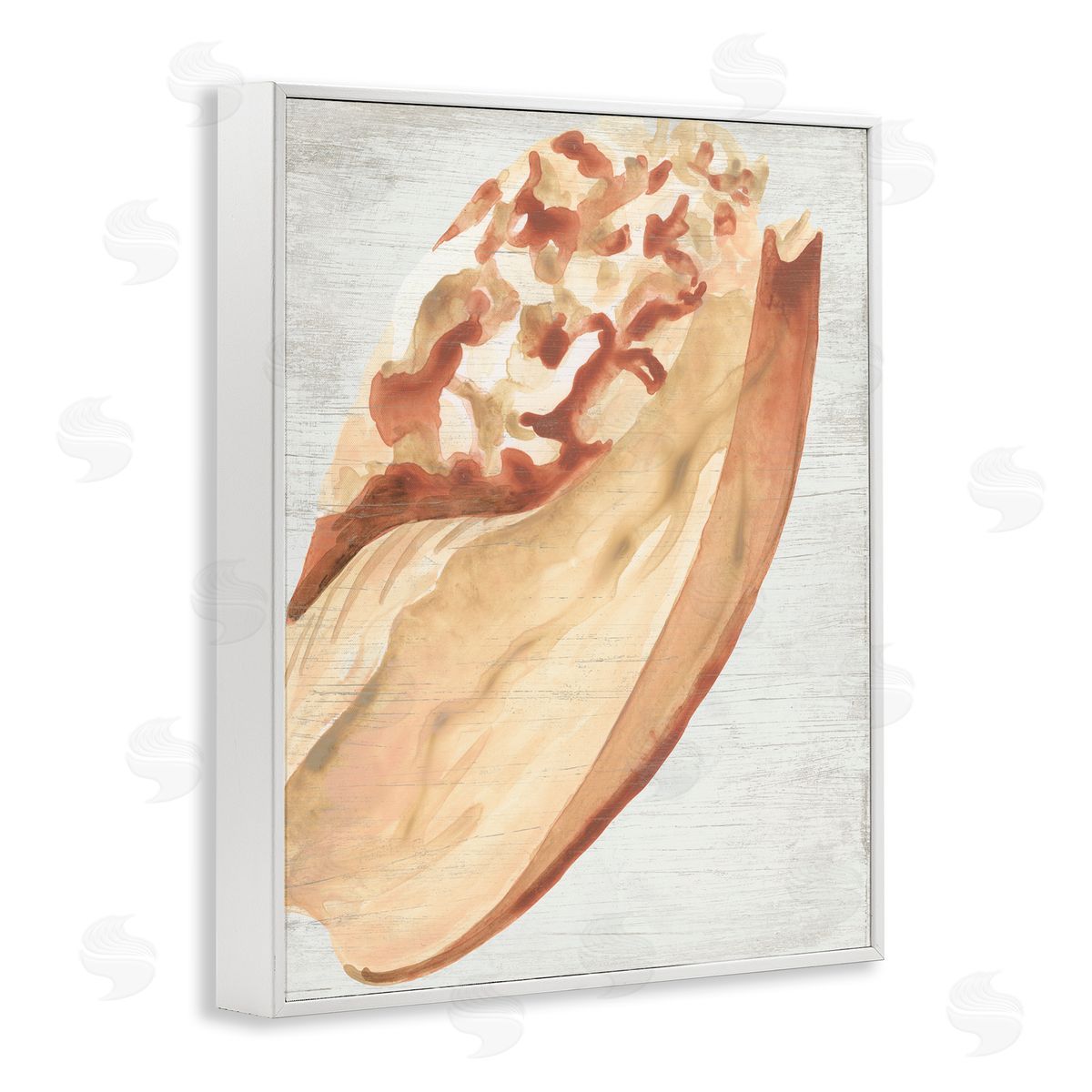 Rustic Beige Shell White Frame Print Wall Art, Home Decor by June Erica Vess