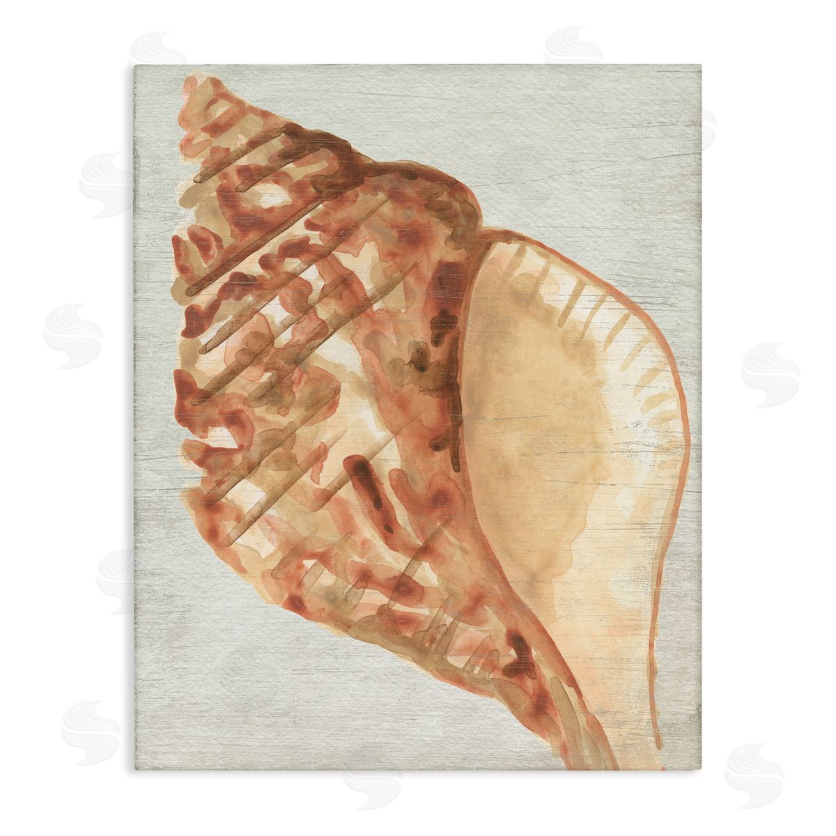 Tan Conch Shell Canvas Wall Art, Home Decor by June Erica Vess