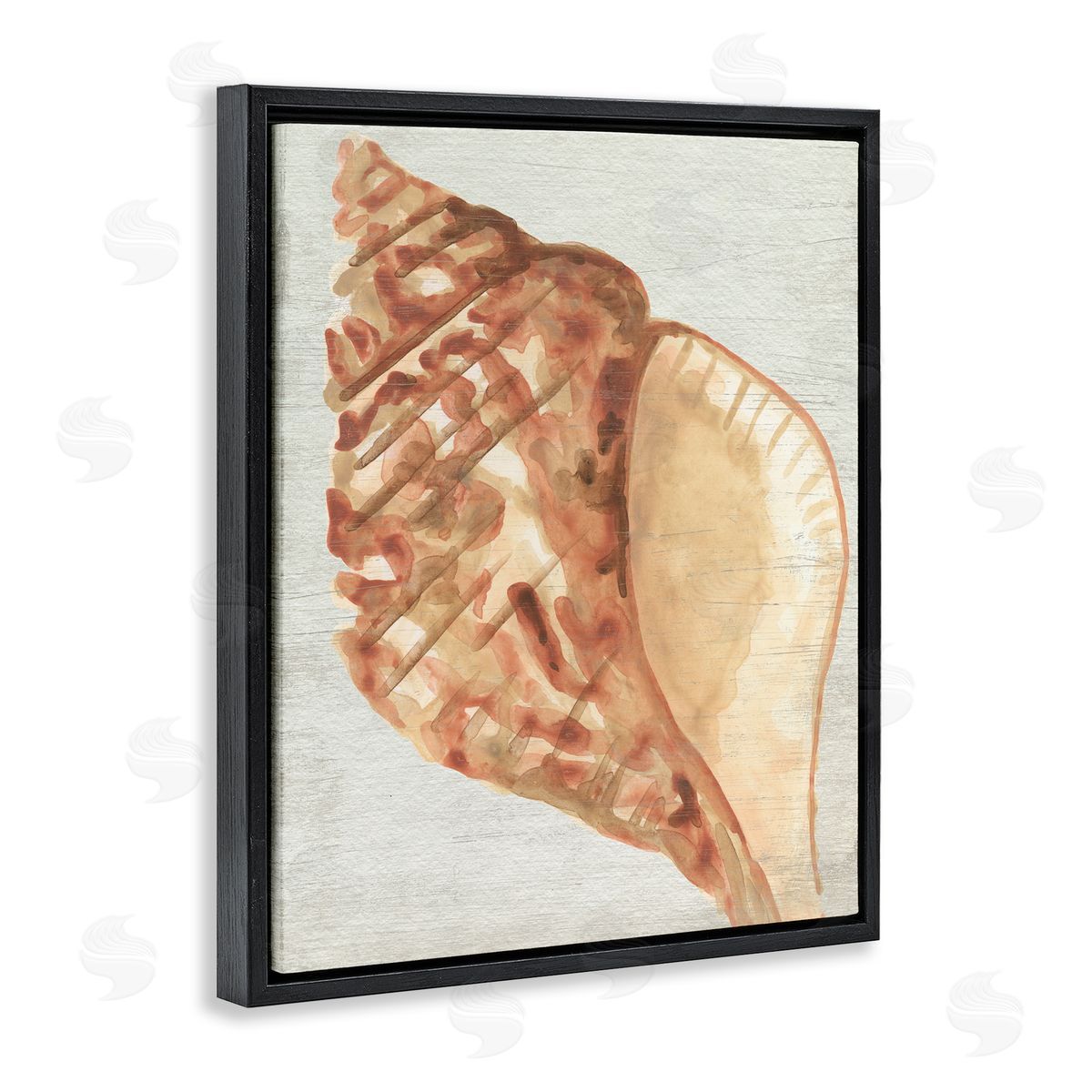 Tan Conch Shell Black Floating Frame Canvas Wall Art, Home Decor by June Erica Vess