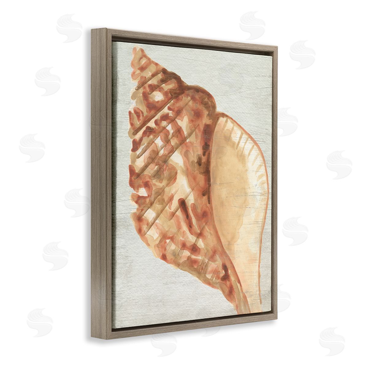 Tan Conch Shell Brown Floating Frame Canvas Wall Art, Home Decor by June Erica Vess