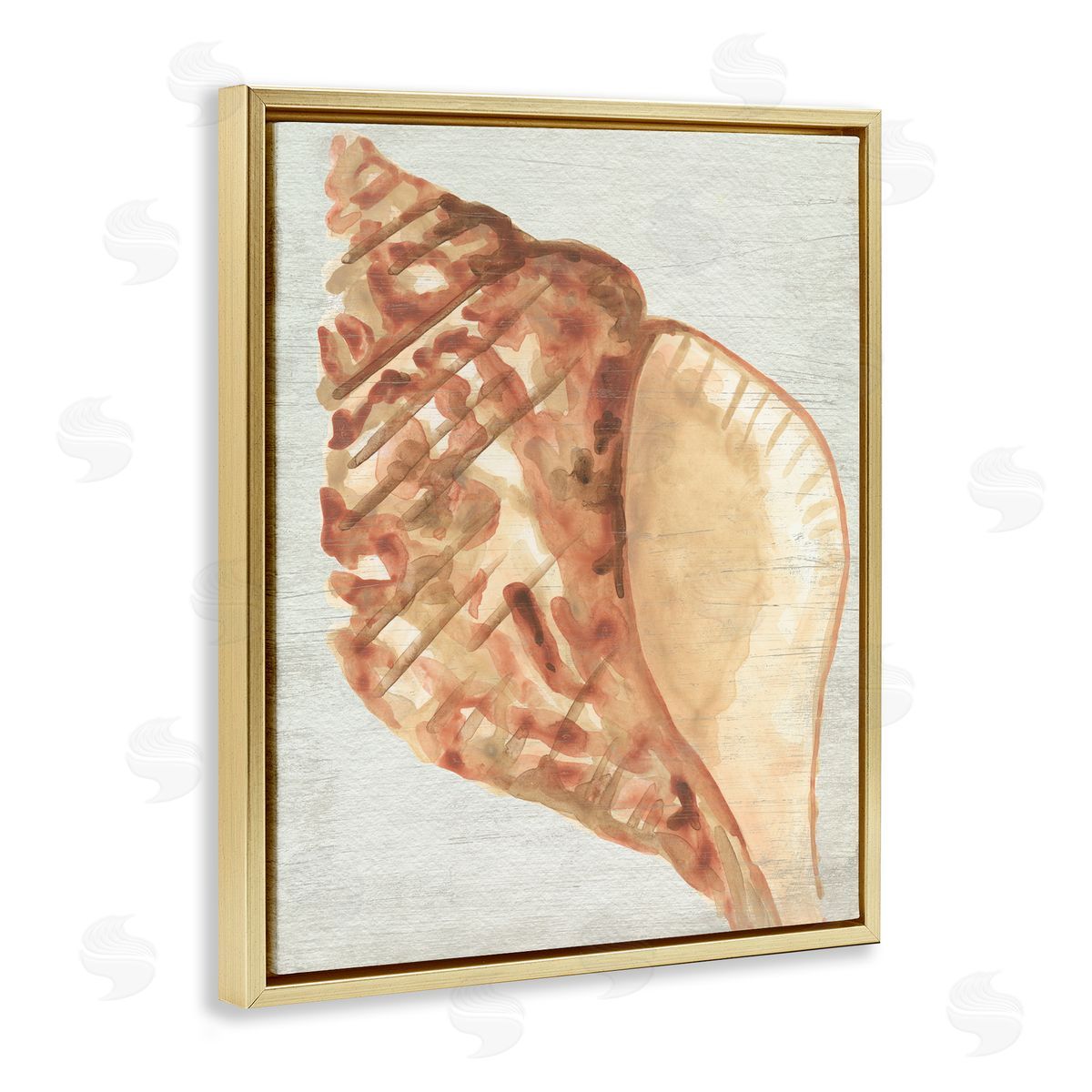 Tan Conch Shell Gold Floating Frame Canvas Wall Art, Home Decor by June Erica Vess
