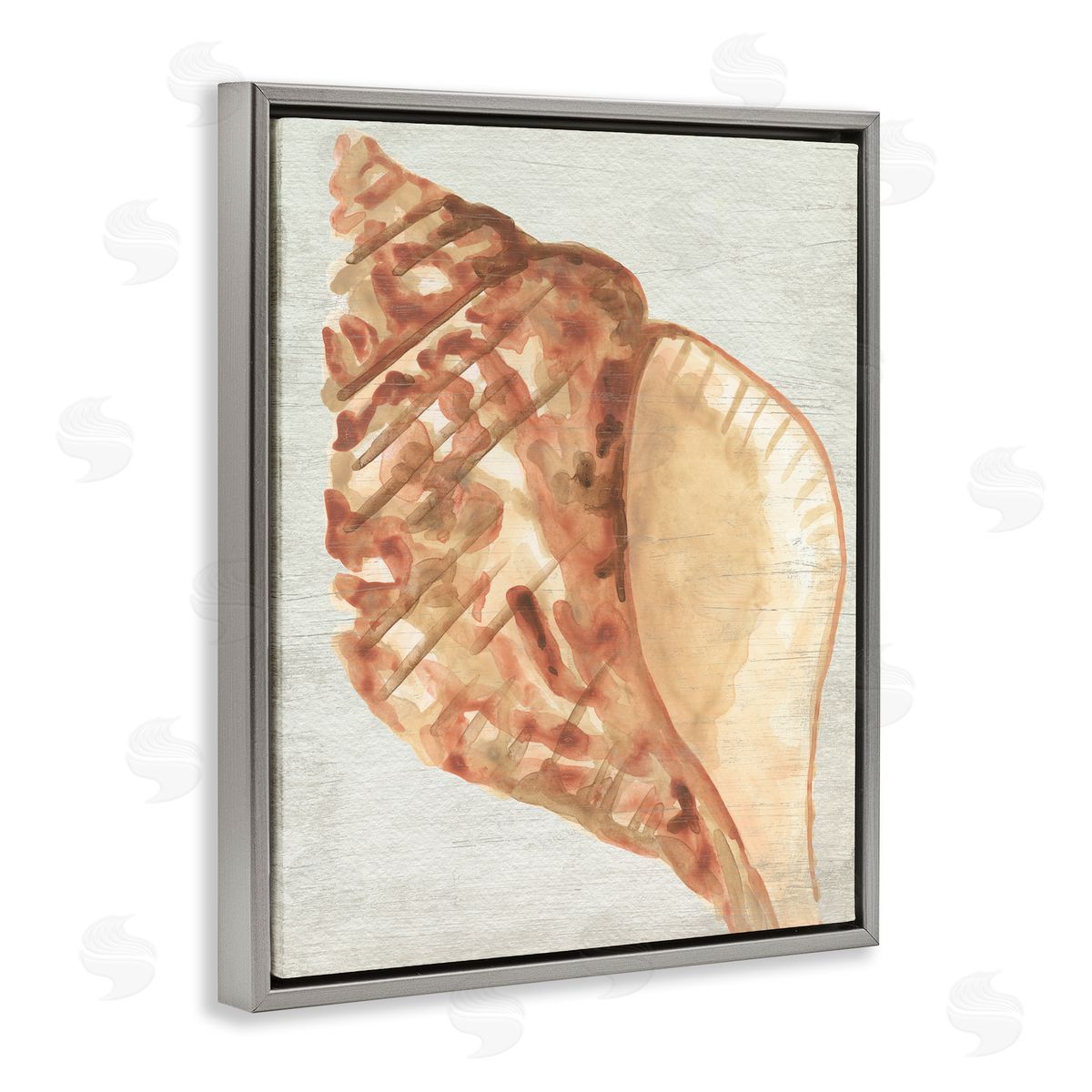 Tan Conch Shell Grey Floating Frame Canvas Wall Art, Home Decor by June Erica Vess