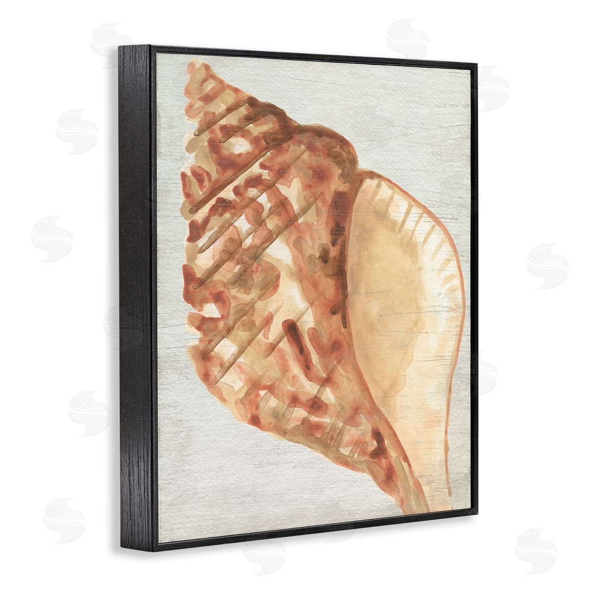 Tan Conch Shell Black Frame Print Wall Art, Home Decor by June Erica Vess