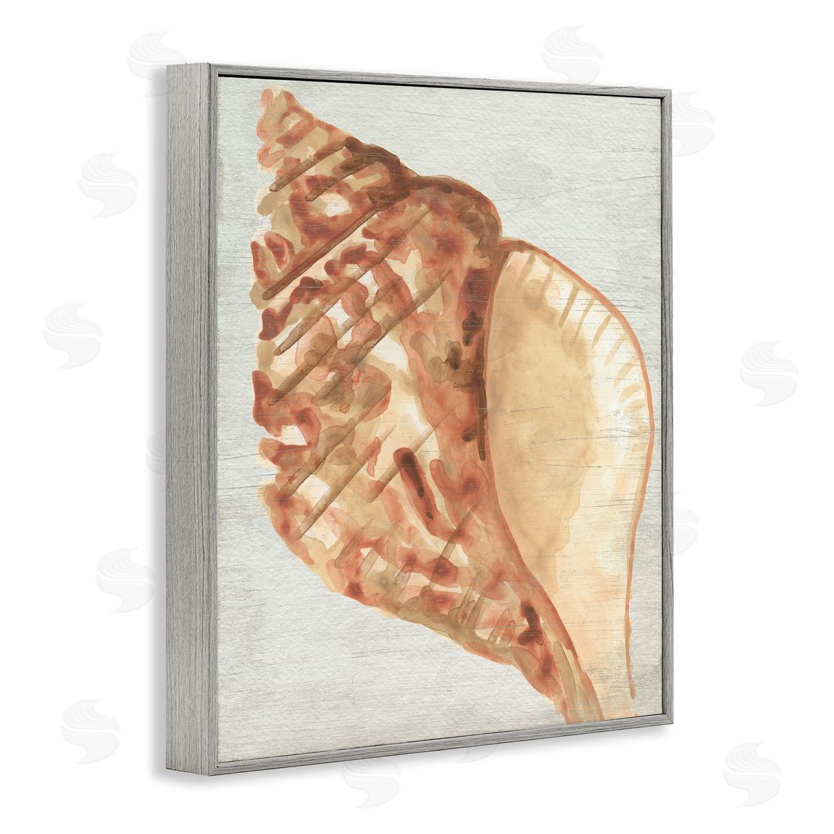 Tan Conch Shell Grey Frame Print Wall Art, Home Decor by June Erica Vess
