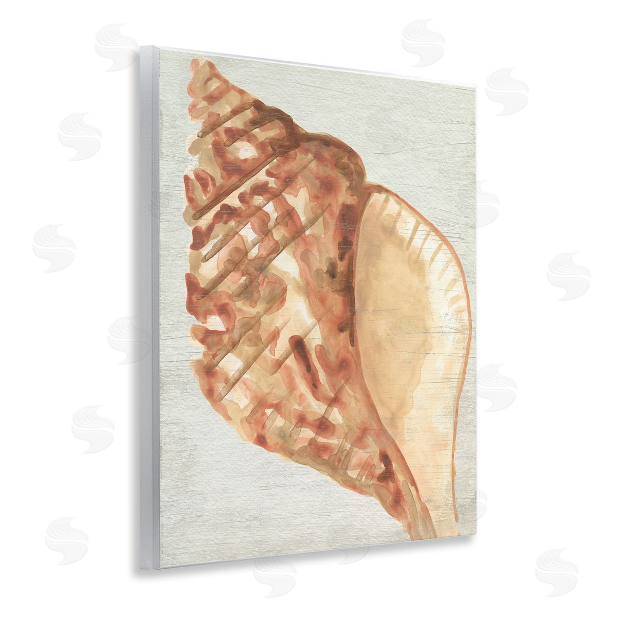 Tan Conch Shell Wood Plaque Wall Art, Home Decor by June Erica Vess