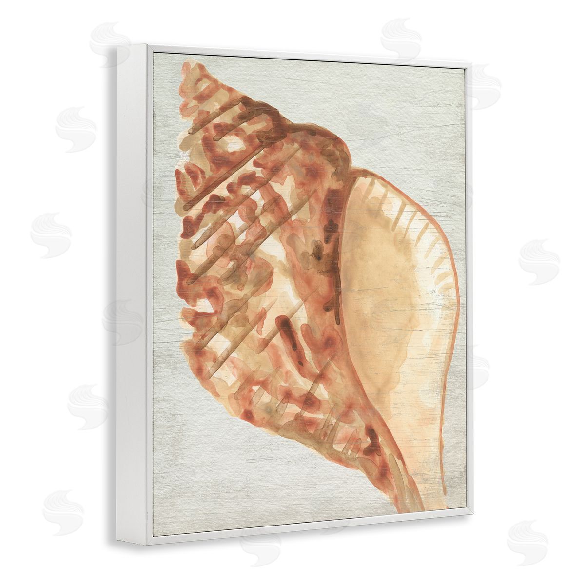 Tan Conch Shell White Frame Print Wall Art, Home Decor by June Erica Vess