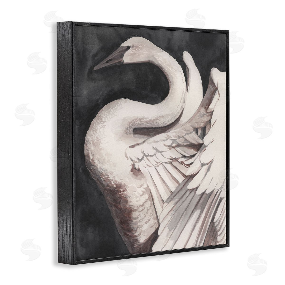 Swan Spreading Wings Black Frame Print Wall Art, Home Decor by Grace Popp