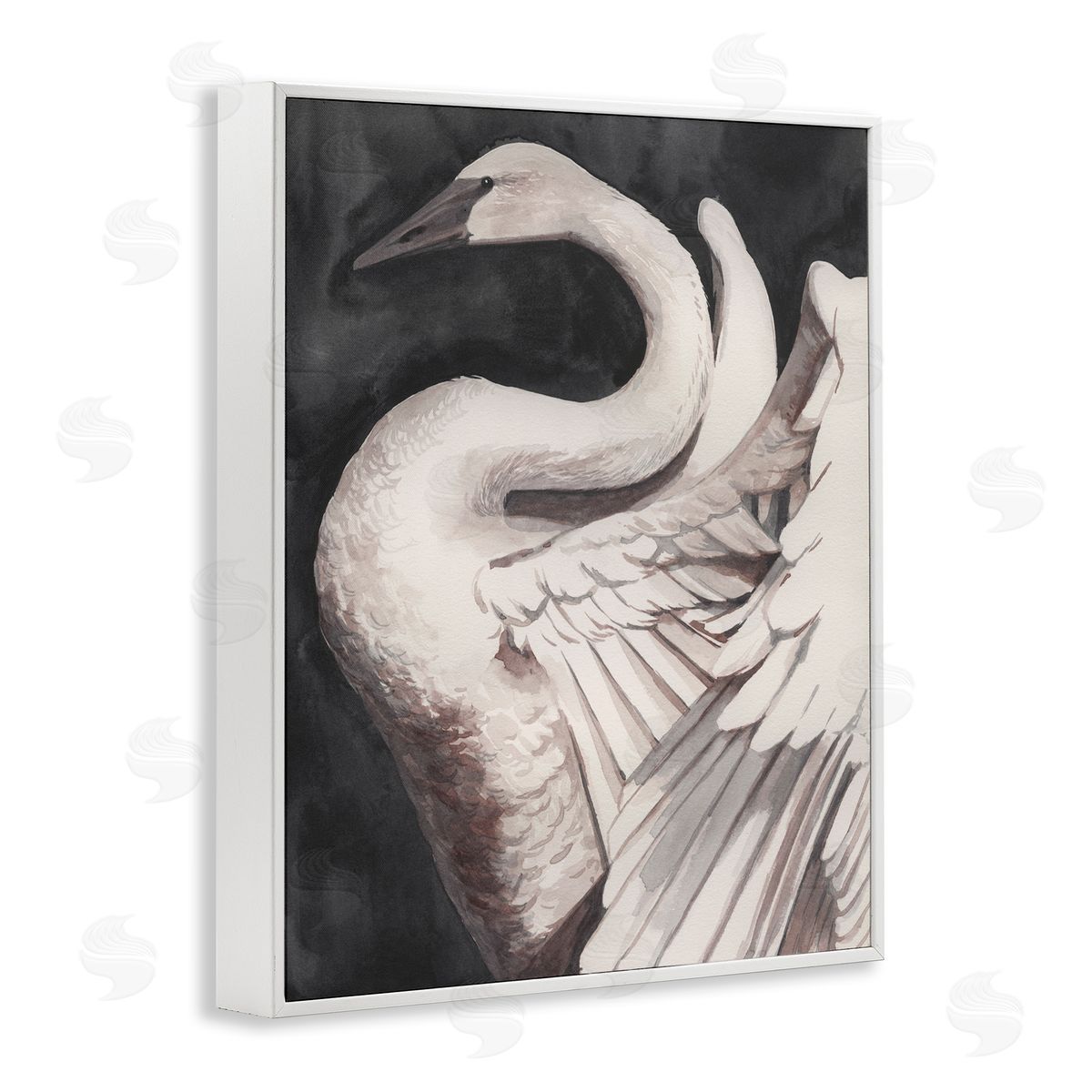 Swan Spreading Wings White Frame Print Wall Art, Home Decor by Grace Popp