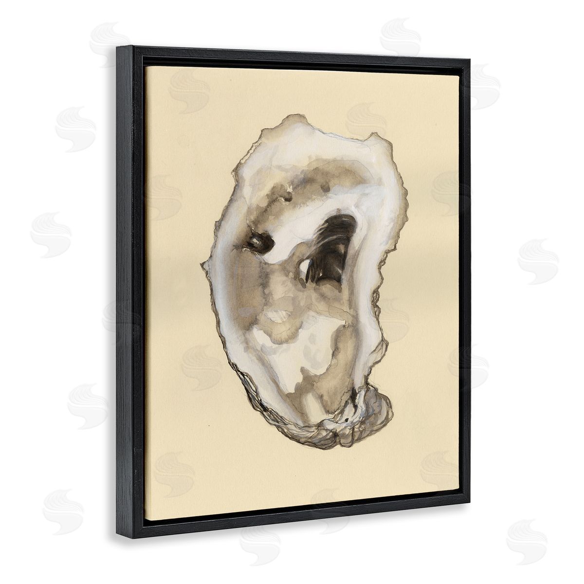 Natural Oyster Shell Black Floating Frame Canvas Wall Art, Home Decor by Michael Willett
