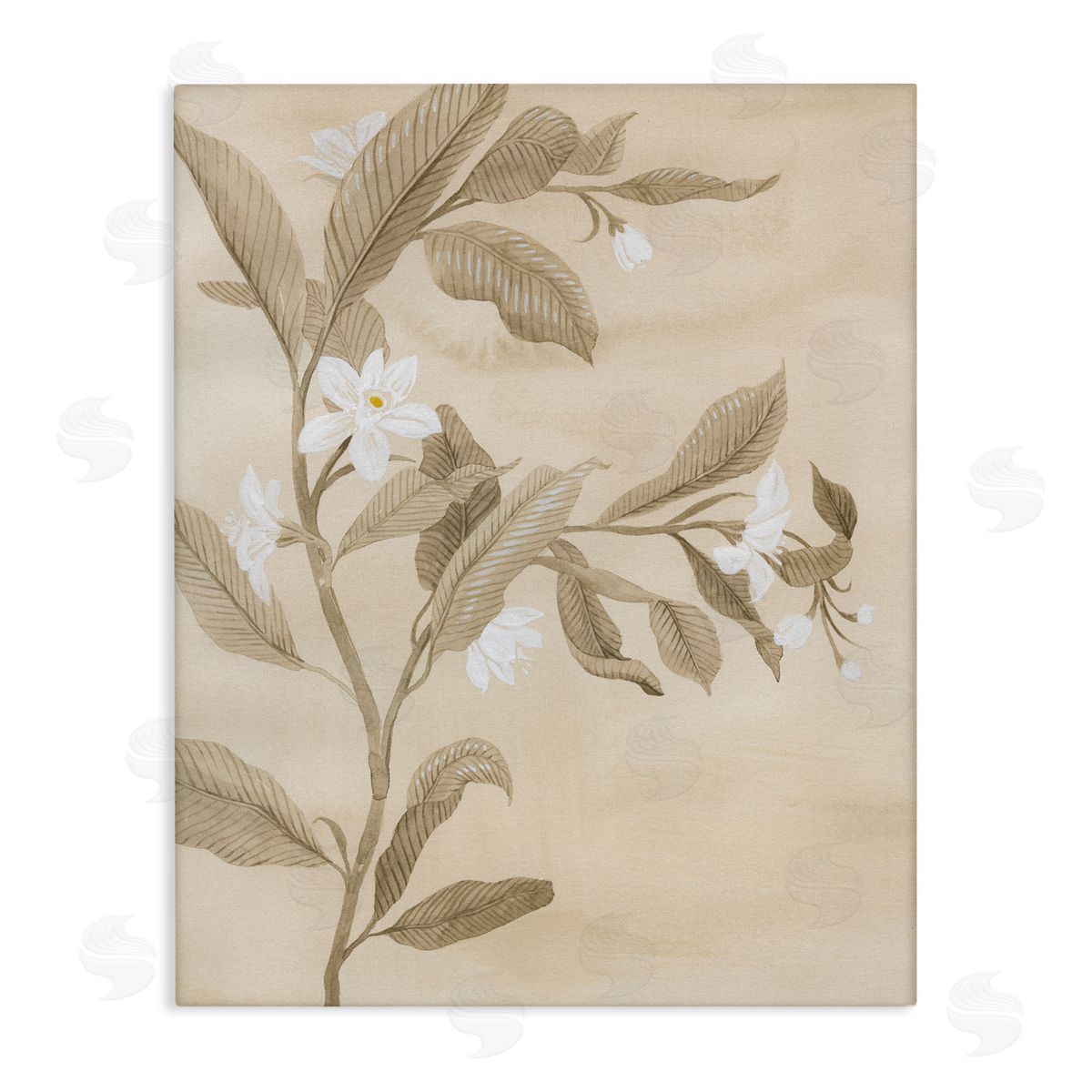 Traditional White Daffodils Canvas Wall Art, Home Decor by Grace Popp