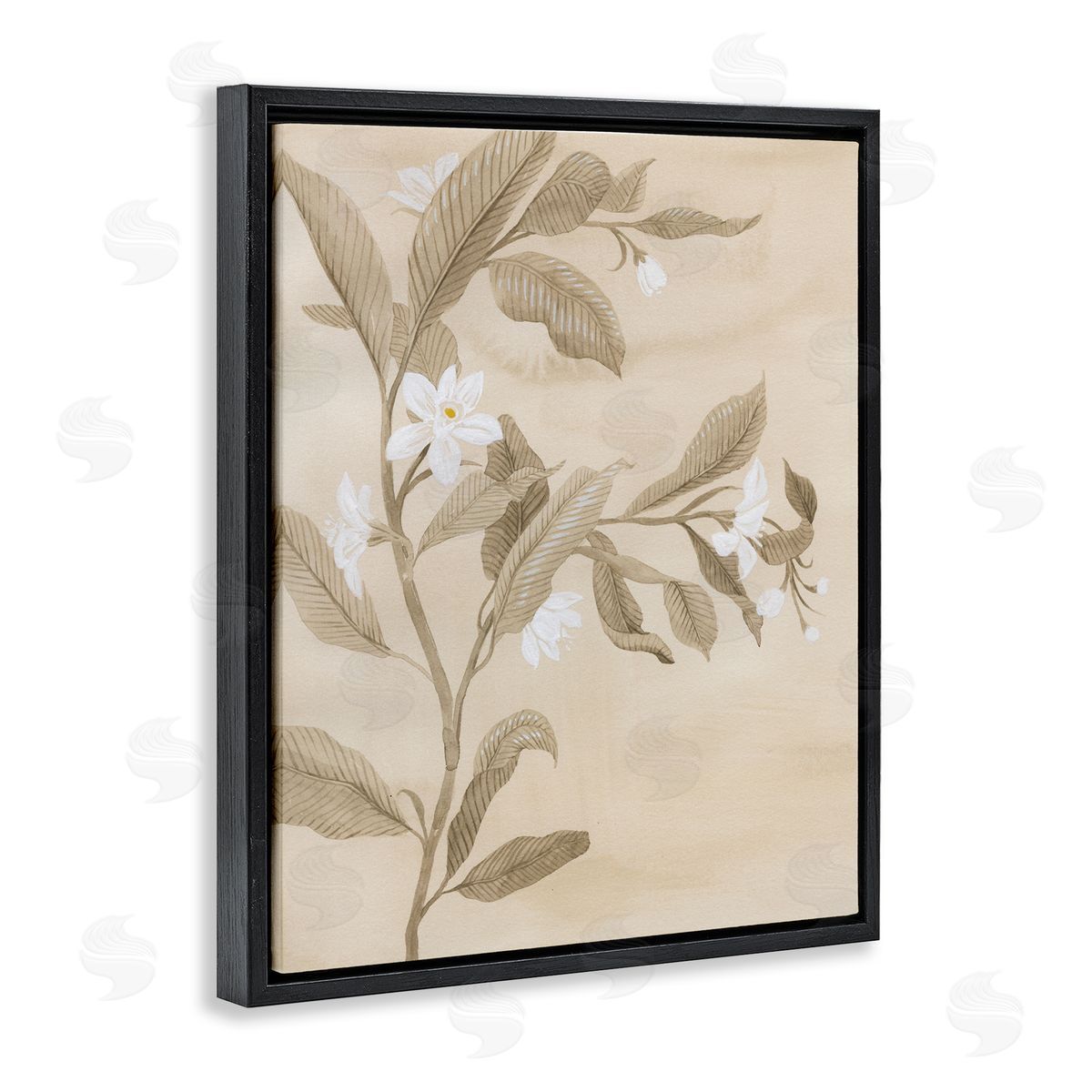 Traditional White Daffodils Black Floating Frame Canvas Wall Art, Home Decor by Grace Popp