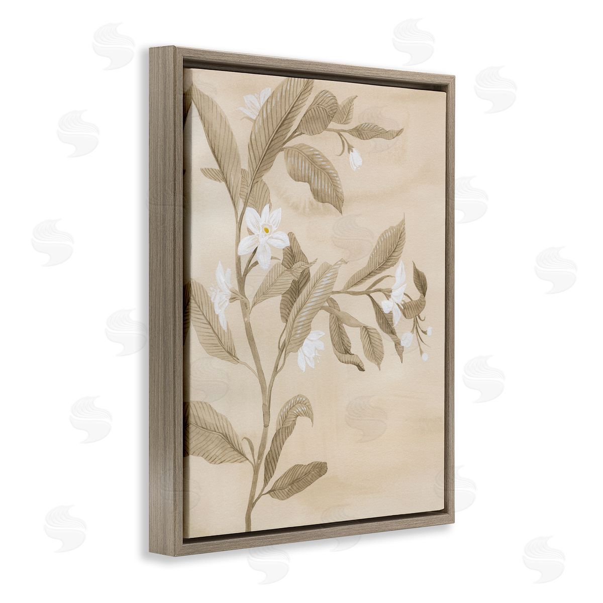 Traditional White Daffodils Brown Floating Frame Canvas Wall Art, Home Decor by Grace Popp