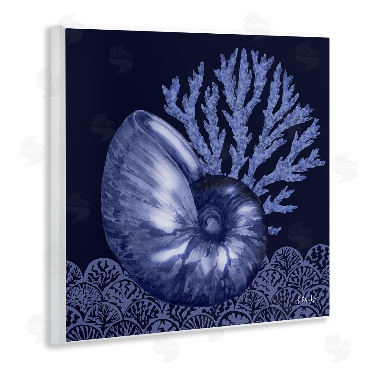 Shadow Nautilus Shell Wood Plaque Wall Art, Home Decor by Paul Brent