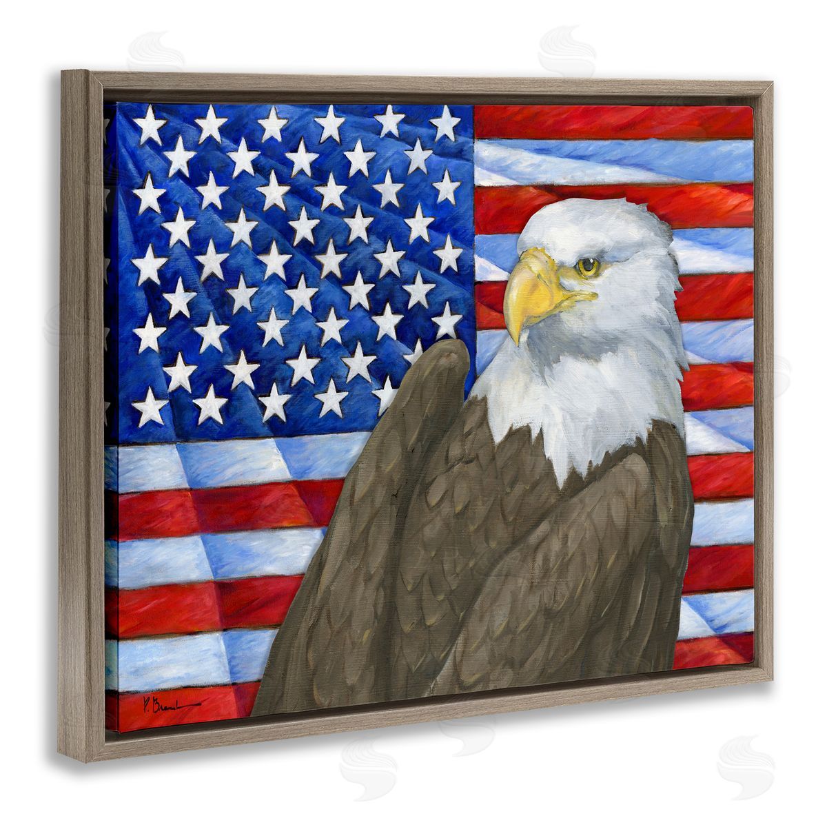 Eagle's View Flag Brown Floating Frame Canvas Wall Art, Home Decor by Paul Brent