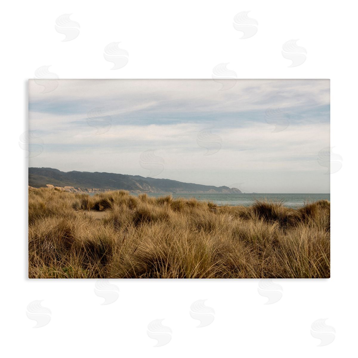 Windy Grass Dunes View Canvas Wall Art, Home Decor by Crystal Lynn Collins