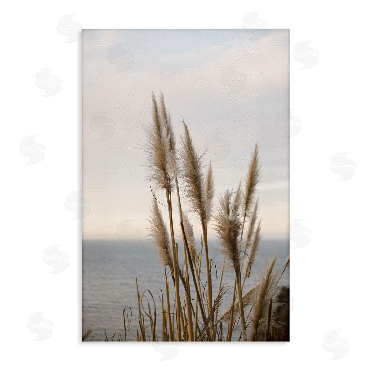 Nautical Cove Grasses Canvas Wall Art, Home Decor by Crystal Lynn Collins
