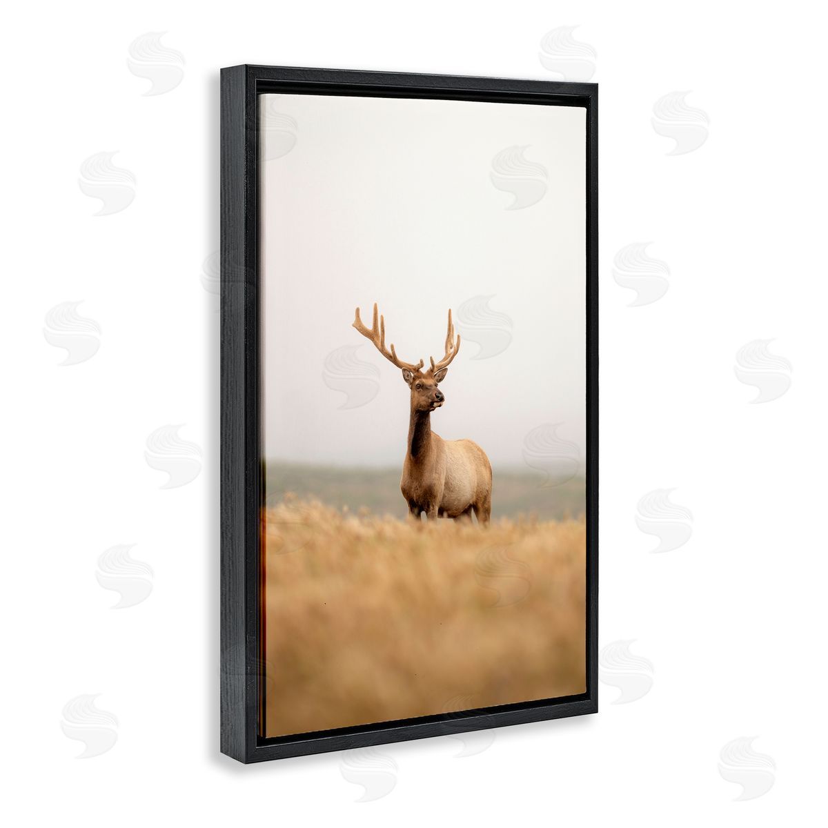 Stoic Tule Elk Black Floating Frame Canvas Wall Art, Home Decor by Crystal Lynn Collins