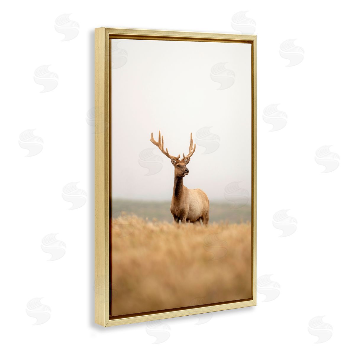 Stoic Tule Elk Gold Floating Frame Canvas Wall Art, Home Decor by Crystal Lynn Collins
