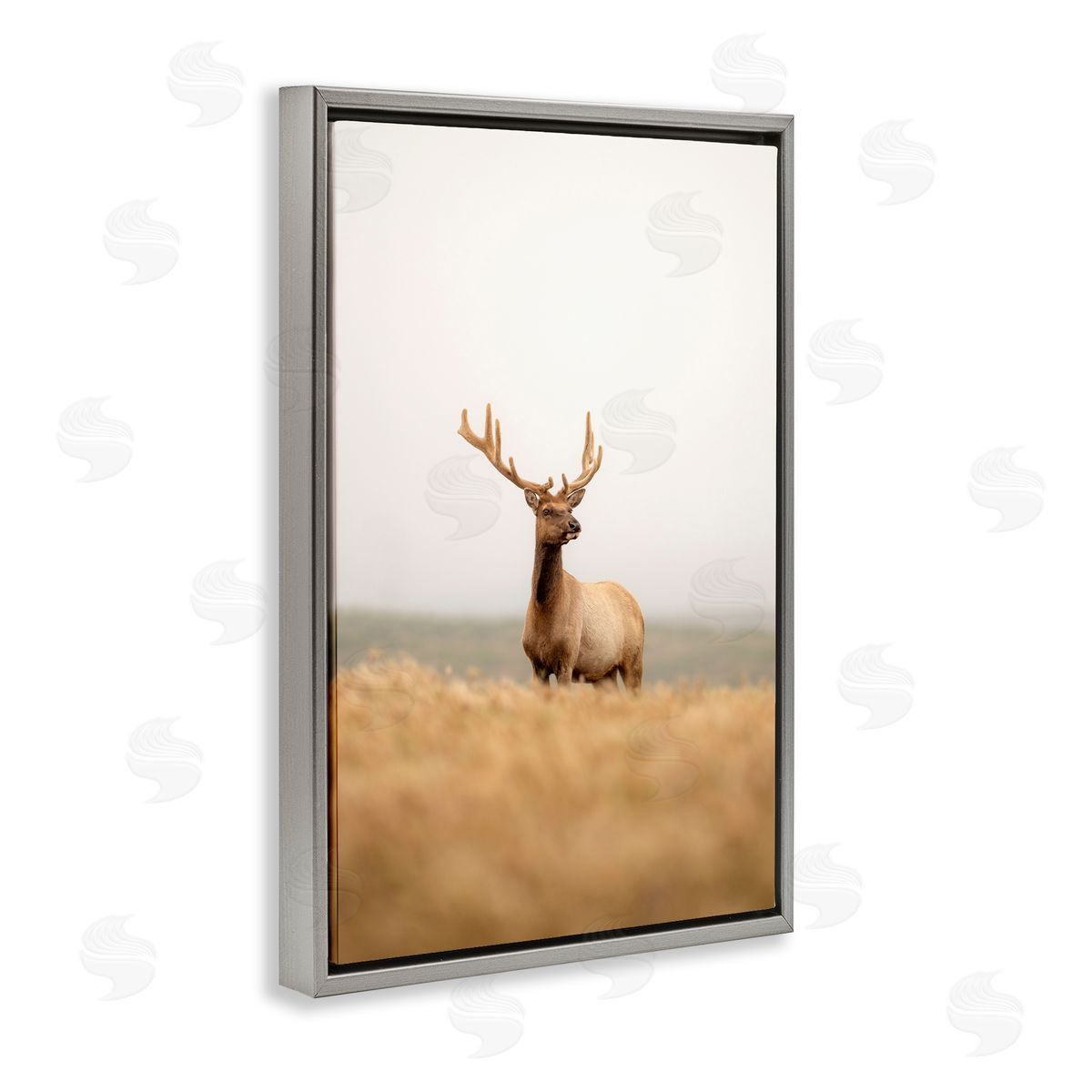 Stoic Tule Elk Grey Floating Frame Canvas Wall Art, Home Decor by Crystal Lynn Collins