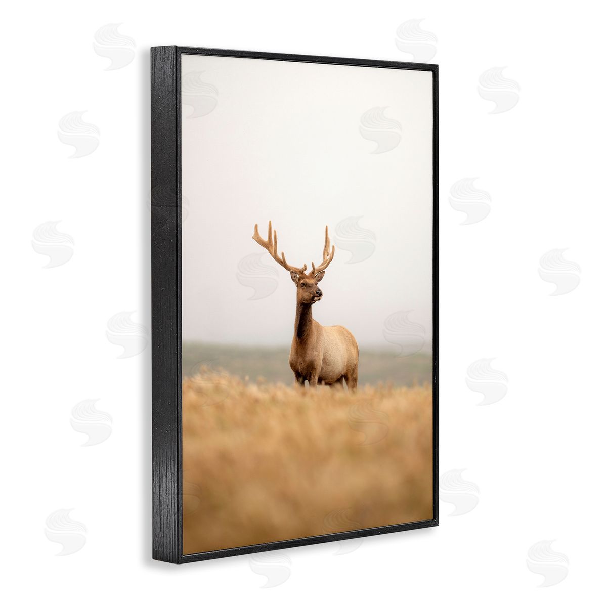 Stoic Tule Elk Black Frame Print Wall Art, Home Decor by Crystal Lynn Collins