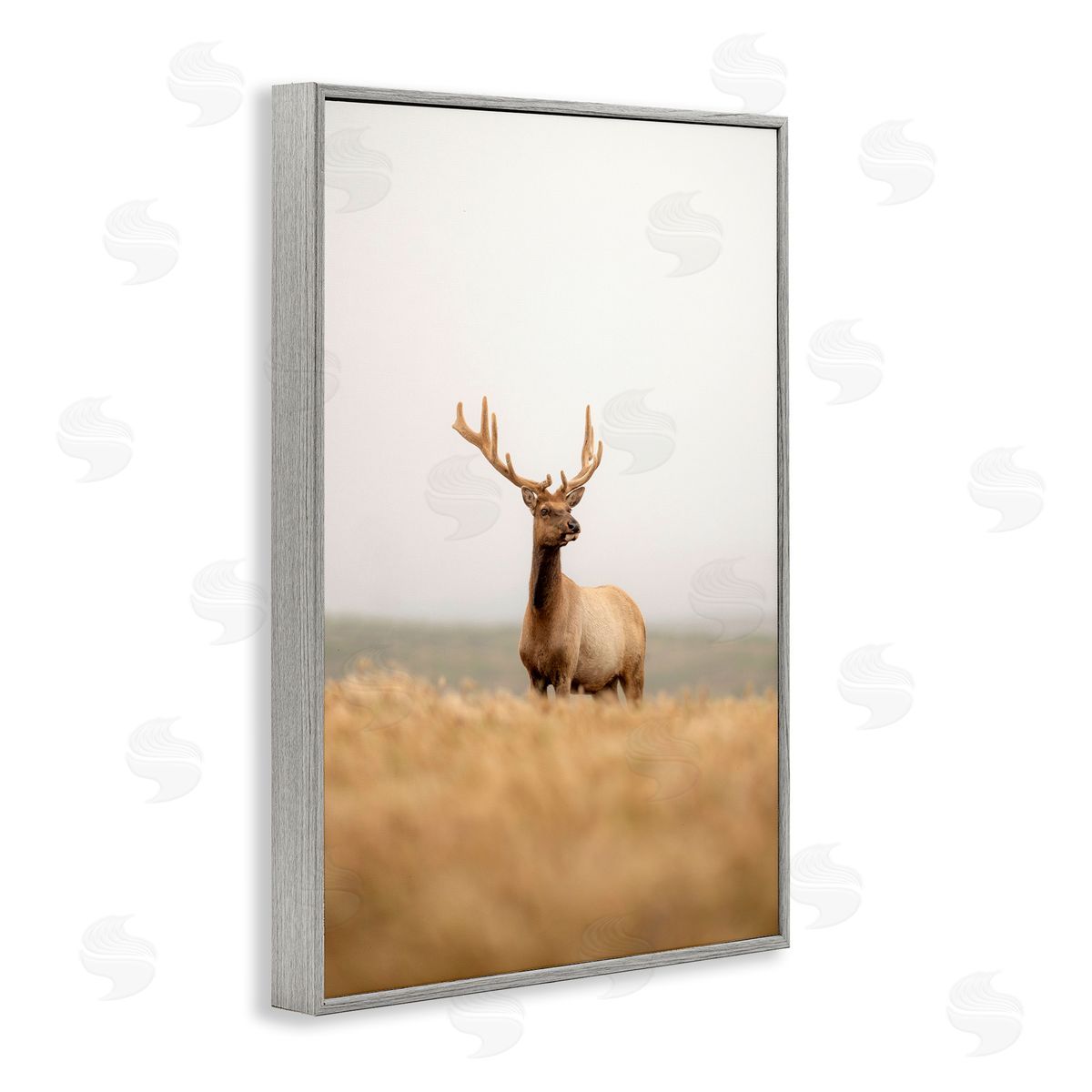 Stoic Tule Elk Grey Frame Print Wall Art, Home Decor by Crystal Lynn Collins