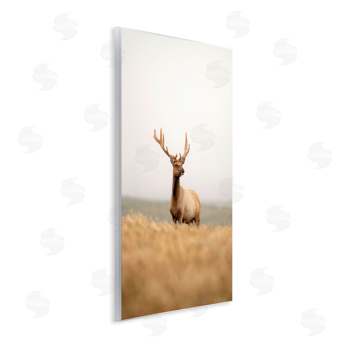 Stoic Tule Elk Wood Plaque Wall Art, Home Decor by Crystal Lynn Collins