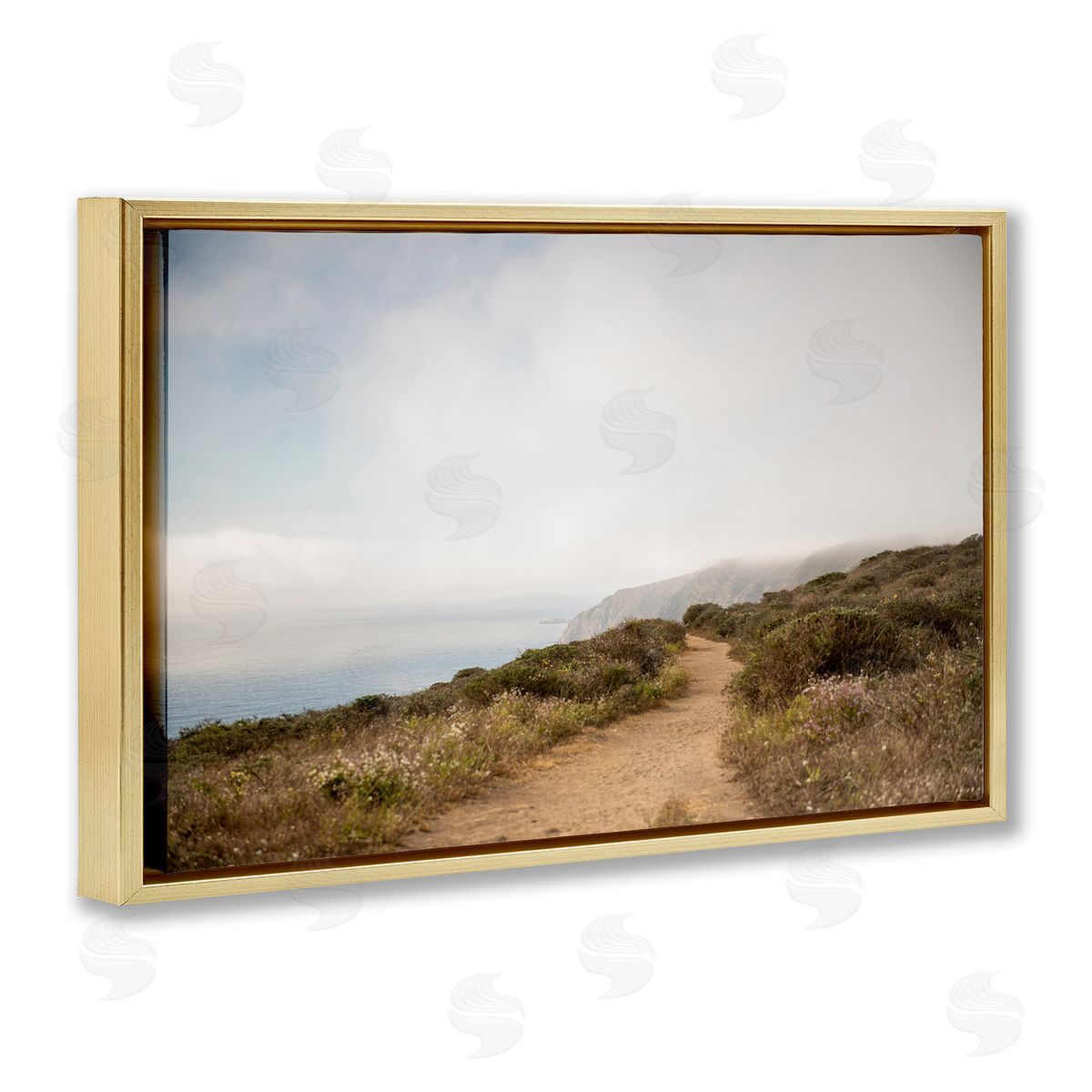 Wild Coast Pathway Gold Floating Frame Canvas Wall Art, Home Decor by Crystal Lynn Collins
