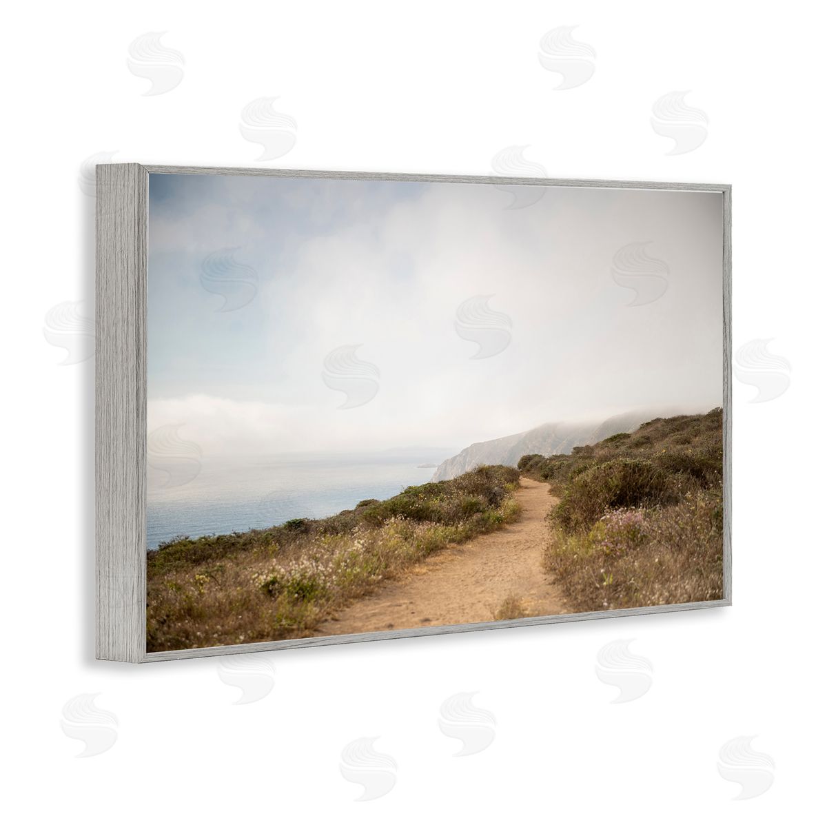 Wild Coast Pathway Grey Frame Print Wall Art, Home Decor by Crystal Lynn Collins