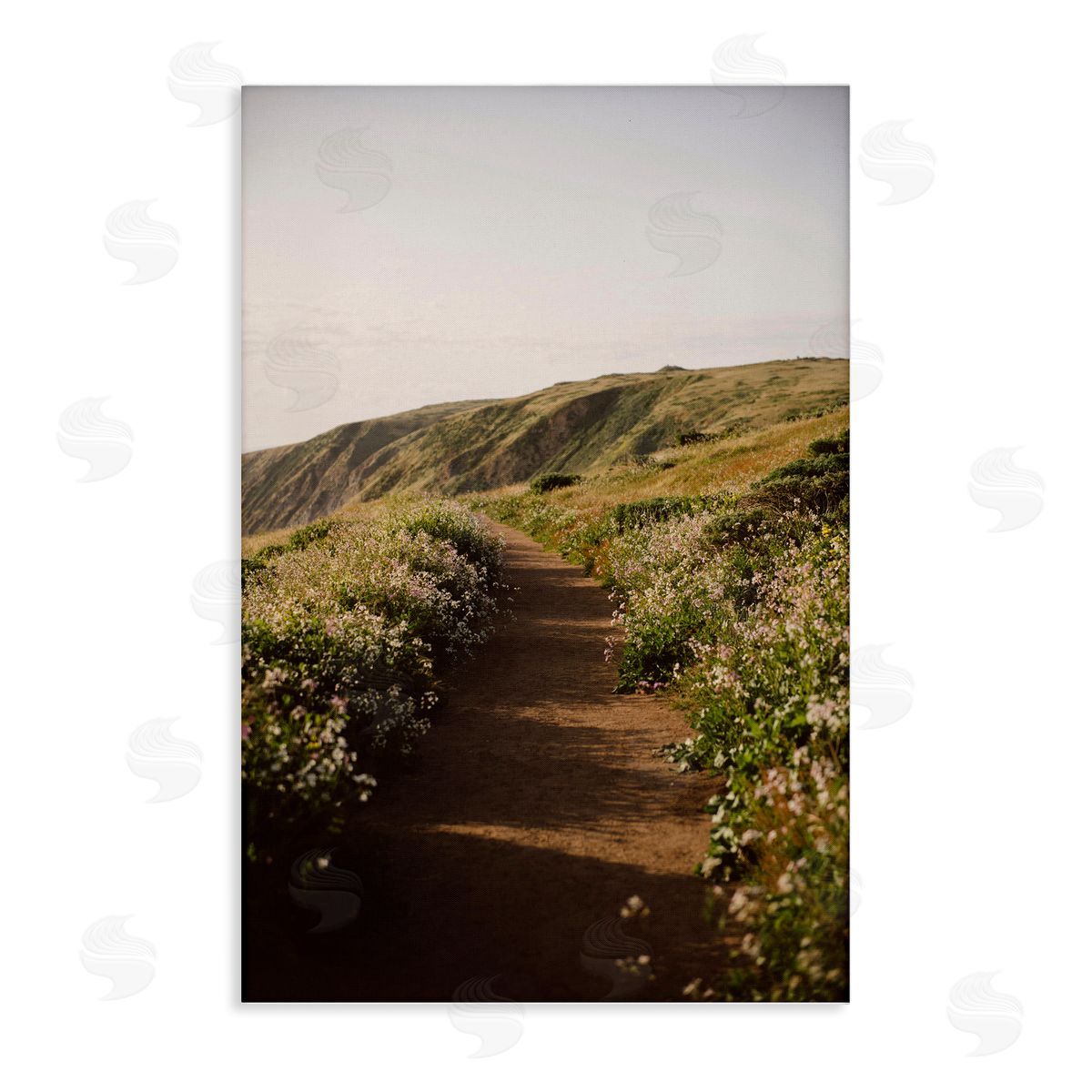 Path by Beach Coast Canvas Wall Art, Home Decor by Crystal Lynn Collins