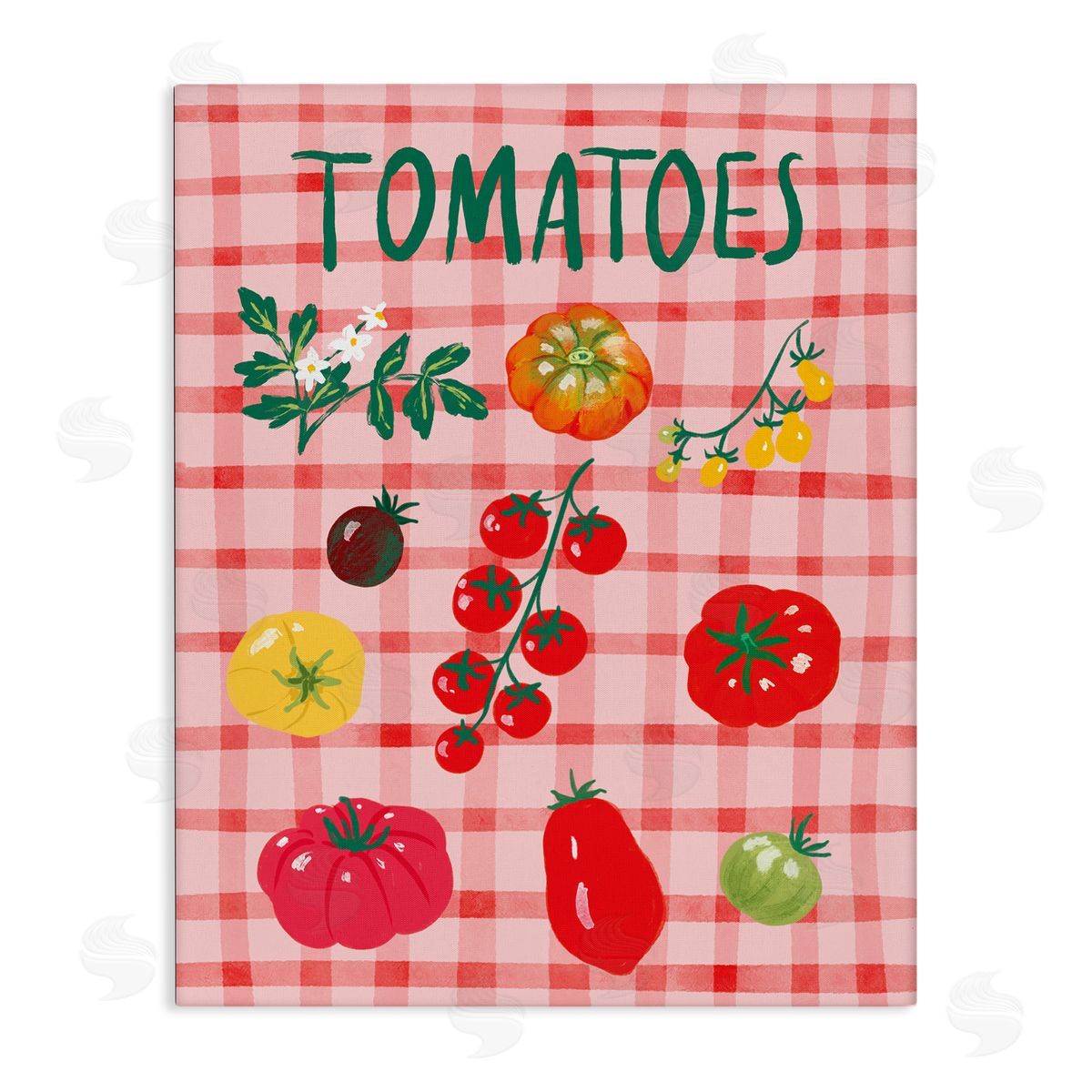 Be Ni La Various Tomatoes on Plaid Canvas Wall Art Print