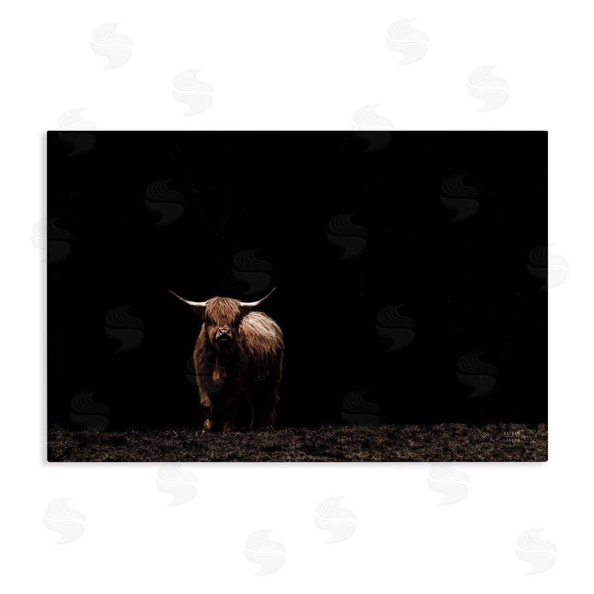 Dark Contrast Highland Cow Canvas Wall Art, Home Decor by Nathan Larson