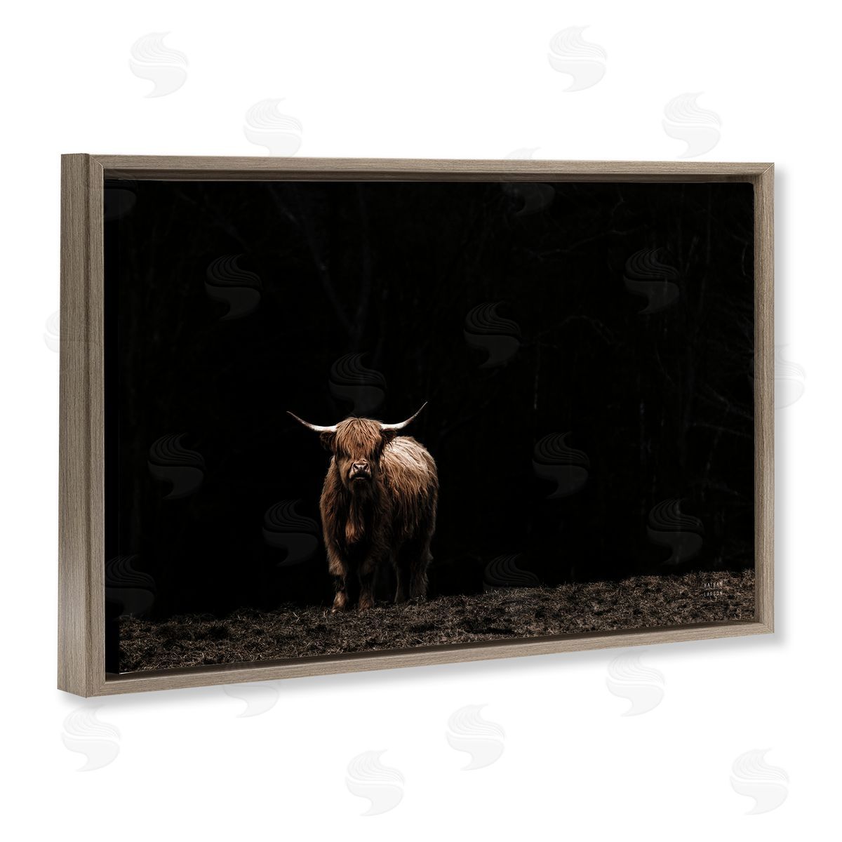 Dark Contrast Highland Cow Brown Floating Frame Canvas Wall Art, Home Decor by Nathan Larson