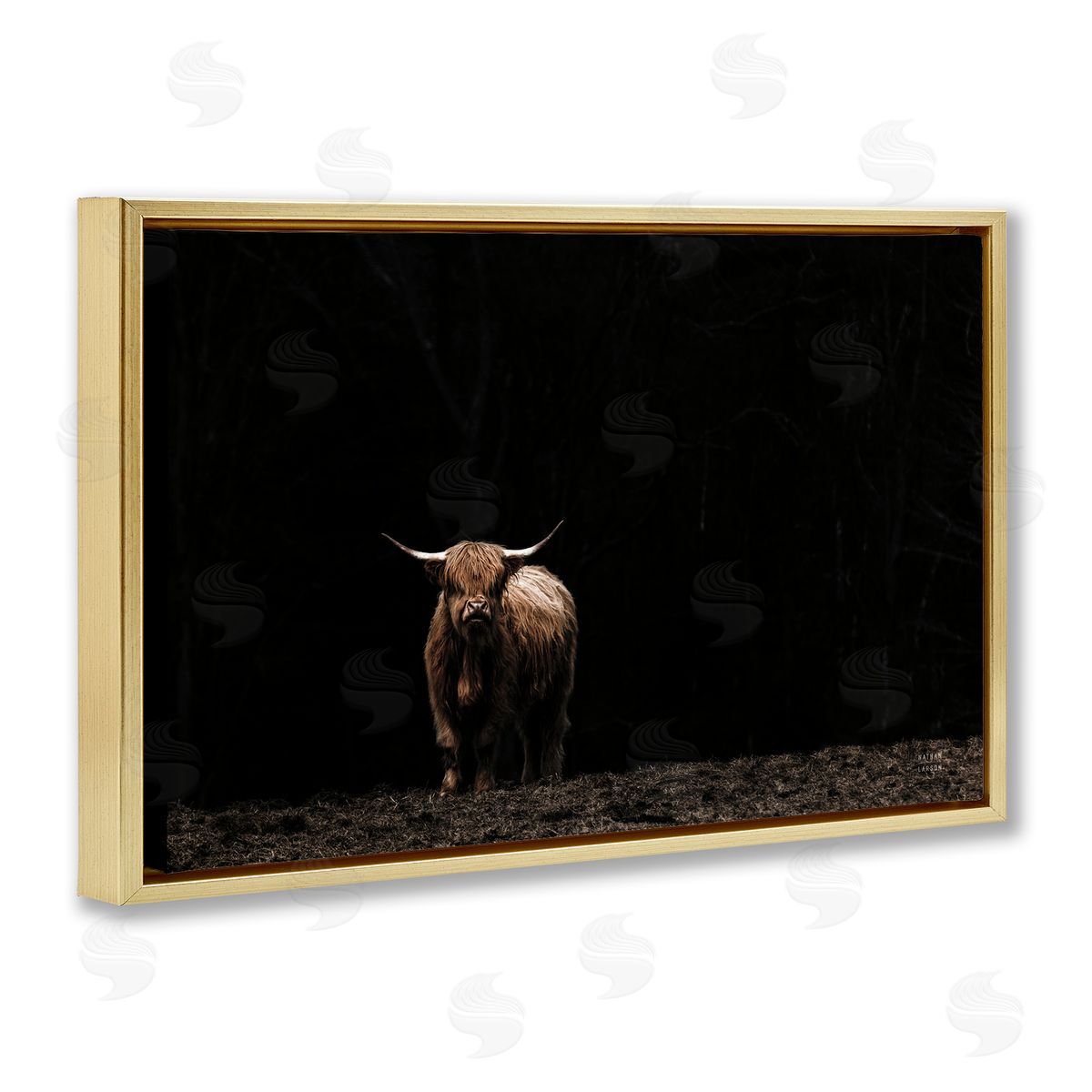 Dark Contrast Highland Cow Gold Floating Frame Canvas Wall Art, Home Decor by Nathan Larson