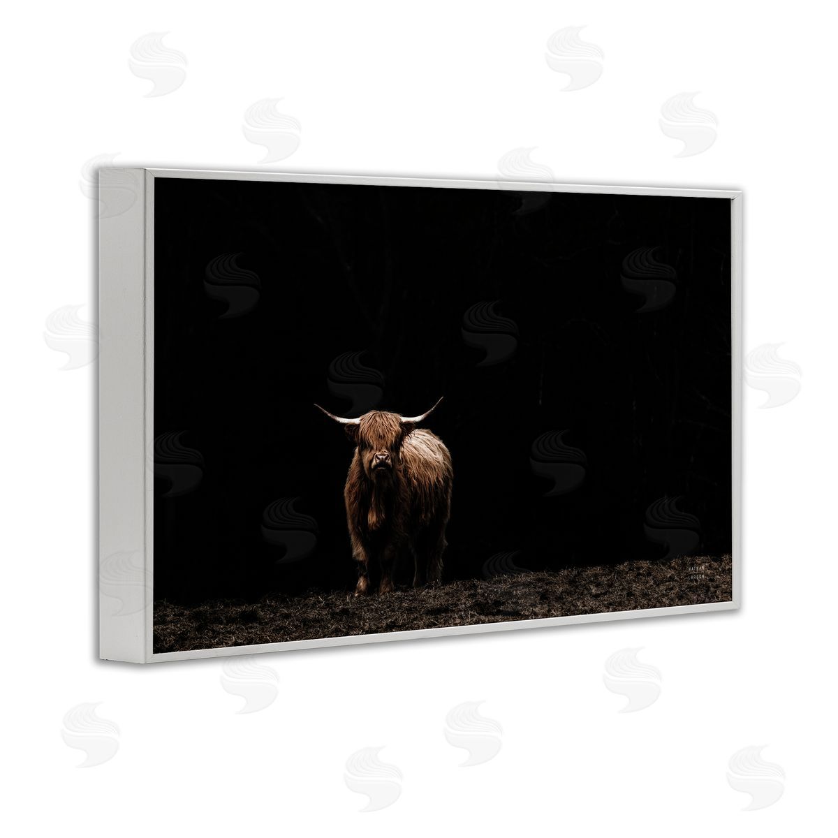 Dark Contrast Highland Cow White Frame Print Wall Art, Home Decor by Nathan Larson