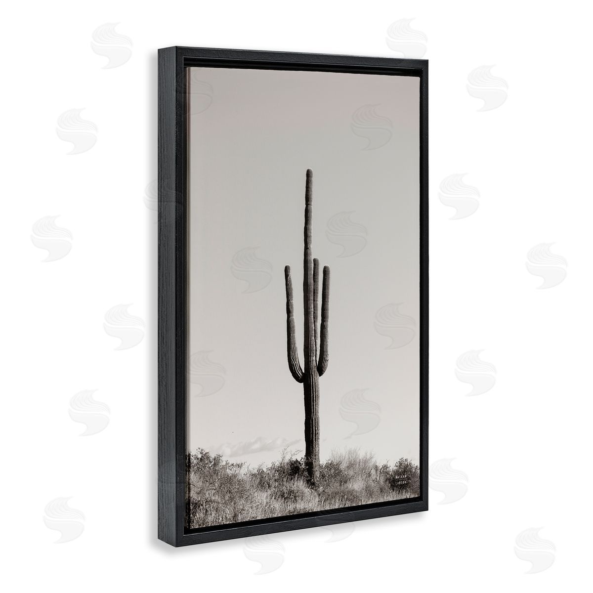 Clear Afternoon Cactus Black Floating Frame Canvas Wall Art, Home Decor by Nathan Larson