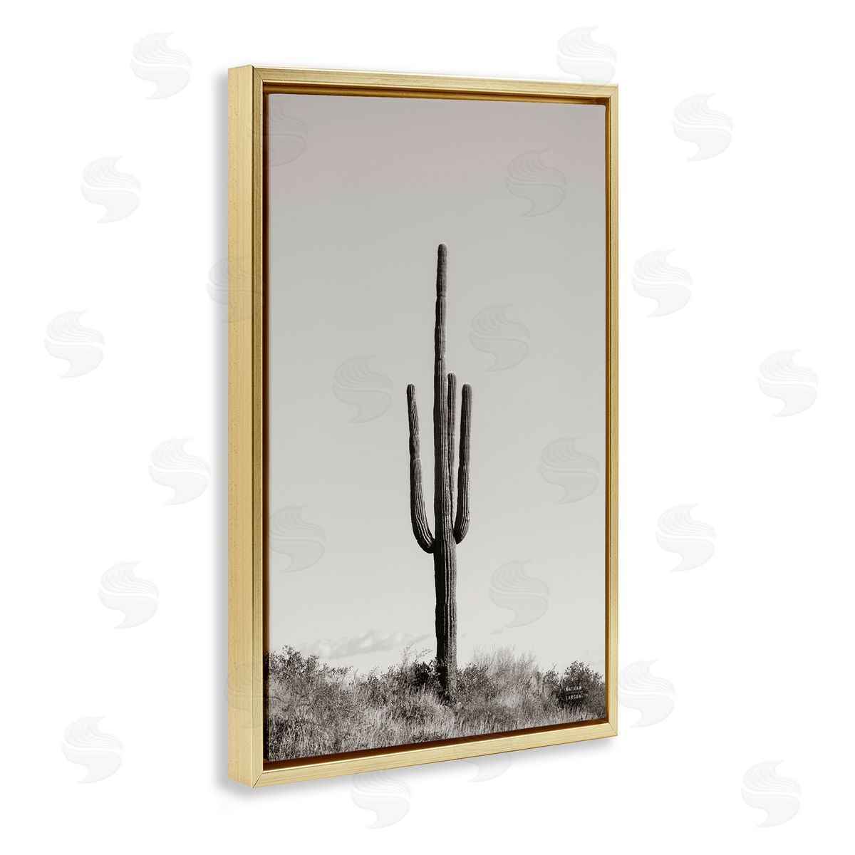 Clear Afternoon Cactus Gold Floating Frame Canvas Wall Art, Home Decor by Nathan Larson