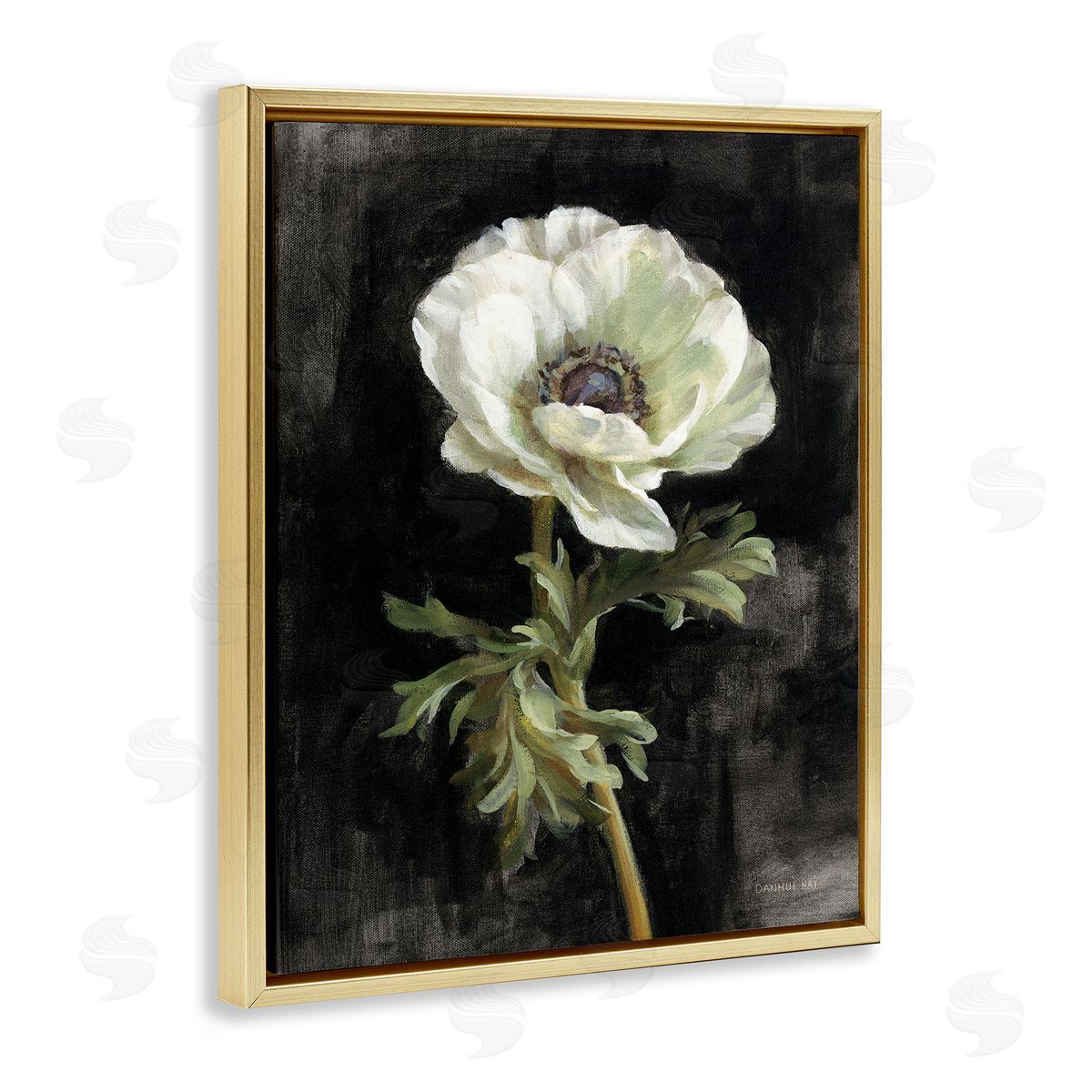 Anemone on Black Gold Floating Frame Canvas Wall Art, Home Decor by Danhui Nai