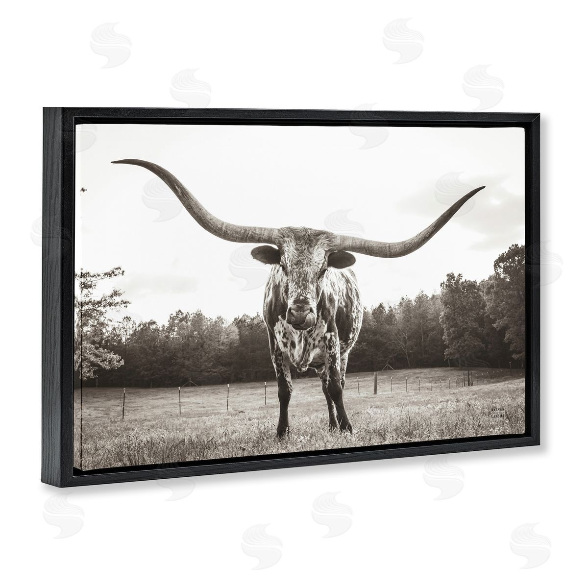 Longhorn Licking Lips Black Floating Frame Canvas Wall Art, Home Decor by Nathan Larson