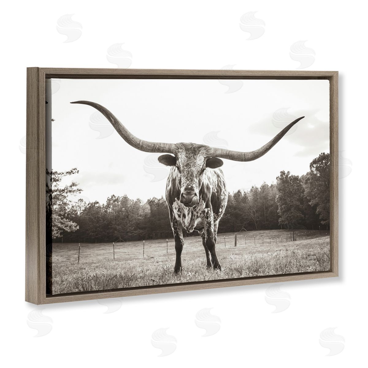 Longhorn Licking Lips Brown Floating Frame Canvas Wall Art, Home Decor by Nathan Larson