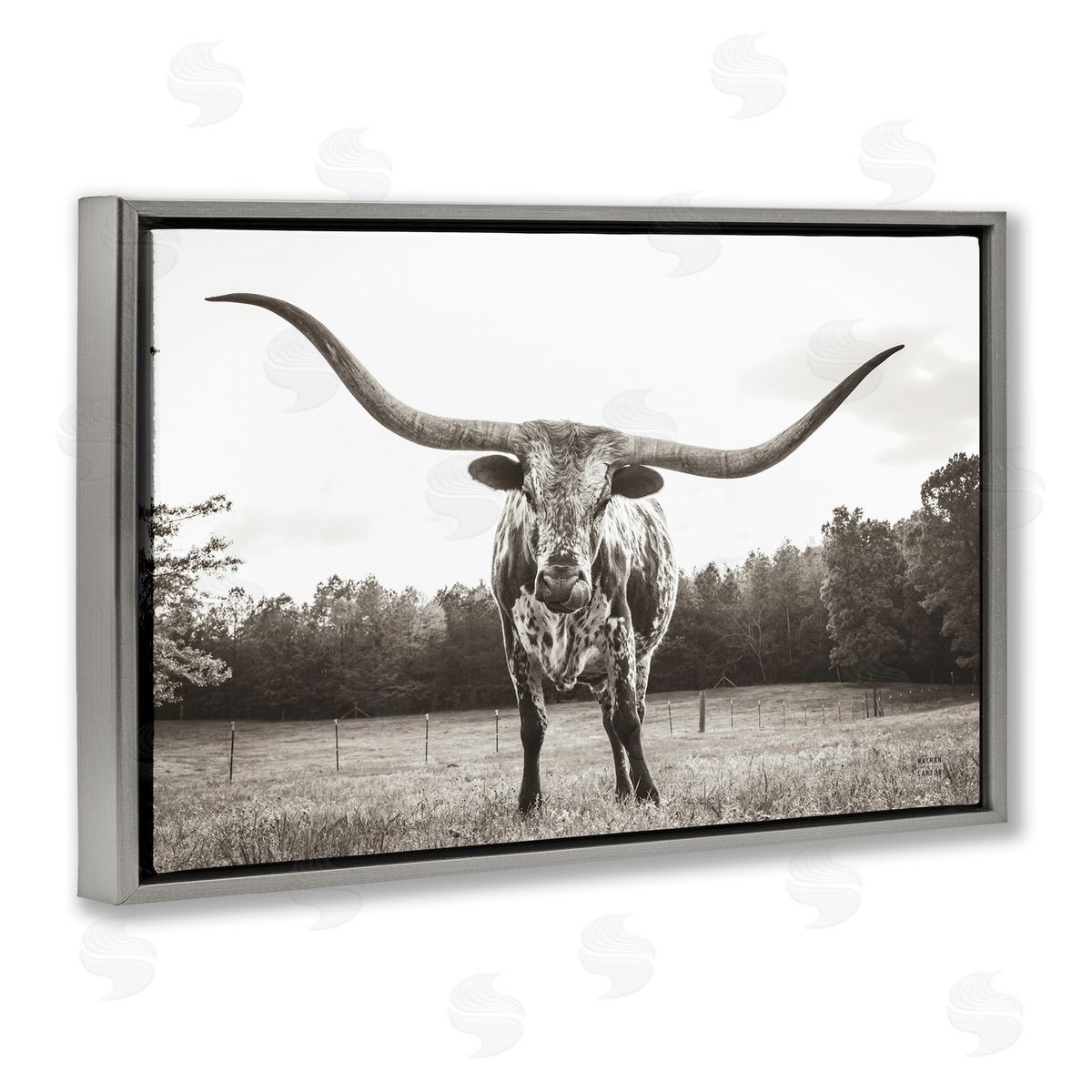 Longhorn Licking Lips Grey Floating Frame Canvas Wall Art, Home Decor by Nathan Larson