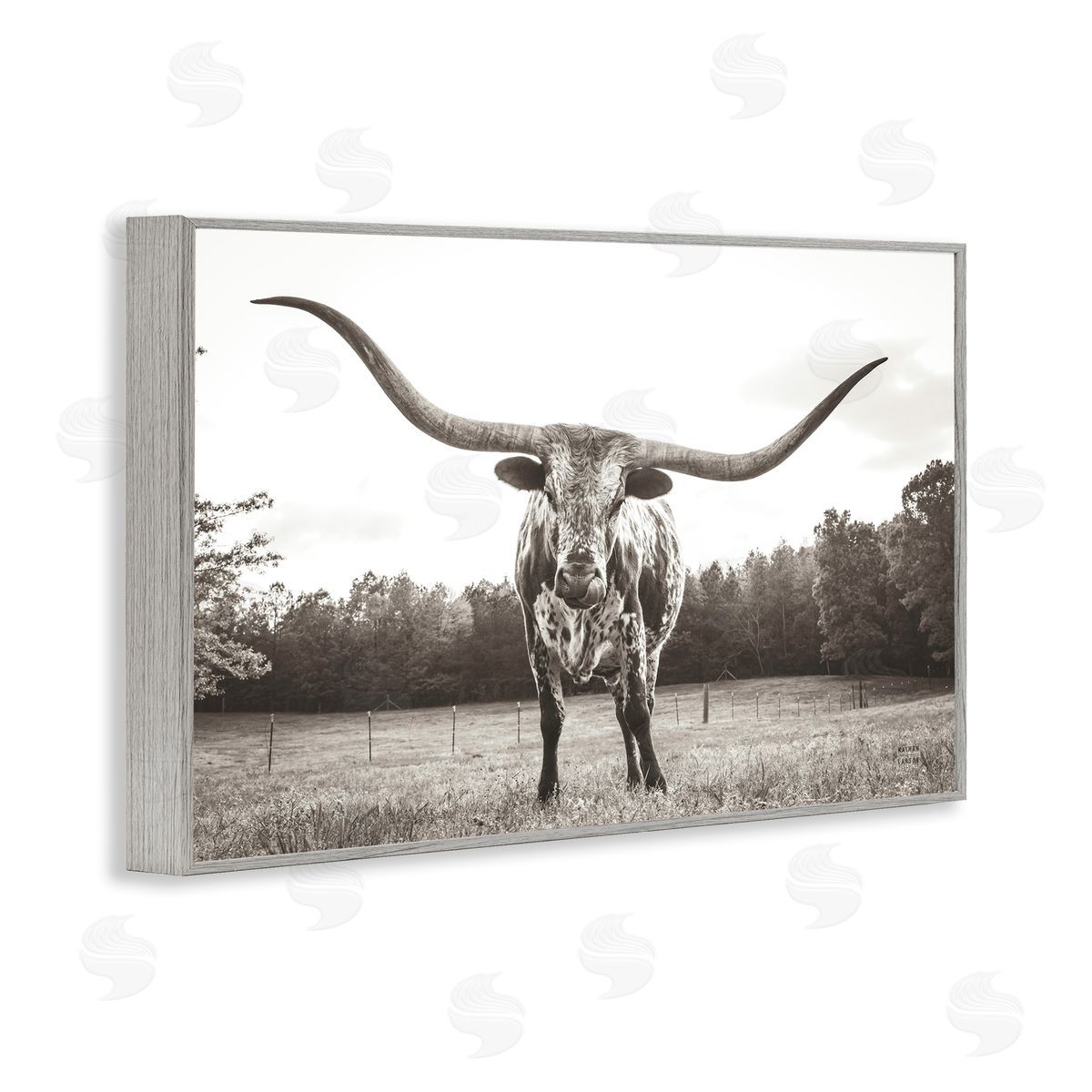 Longhorn Licking Lips Grey Frame Print Wall Art, Home Decor by Nathan Larson