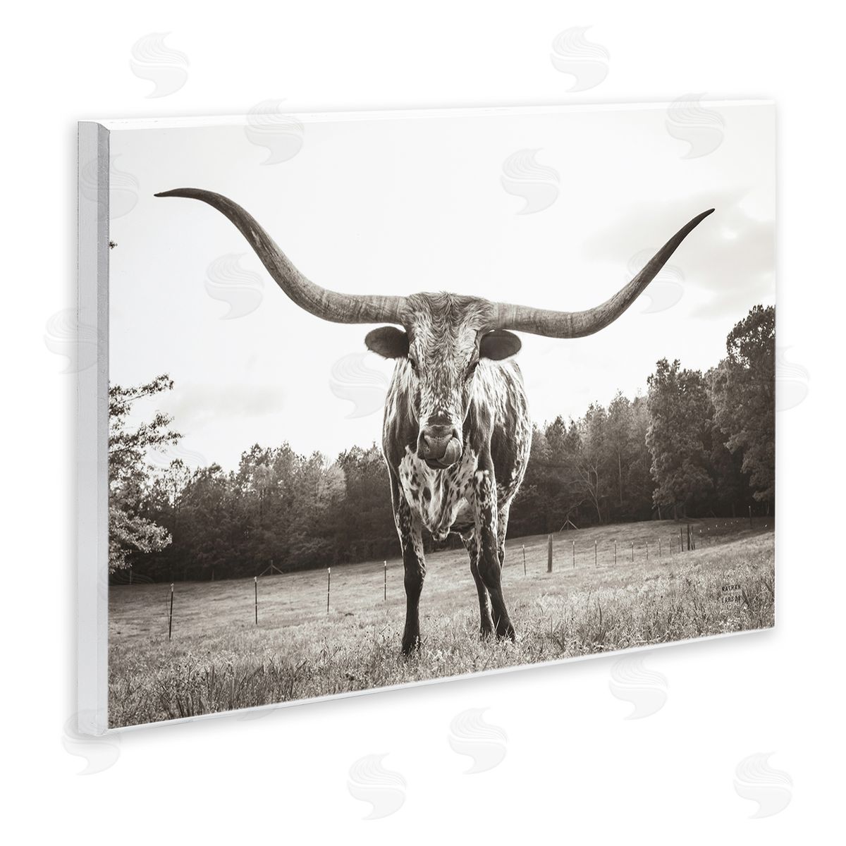 Longhorn Licking Lips Wood Plaque Wall Art, Home Decor by Nathan Larson