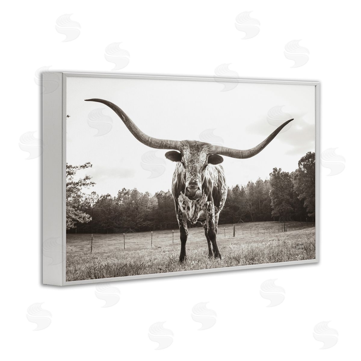 Longhorn Licking Lips White Frame Print Wall Art, Home Decor by Nathan Larson