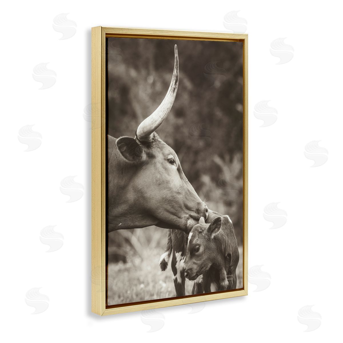 Longhorn Kissing Baby Gold Floating Frame Canvas Wall Art, Home Decor by Nathan Larson
