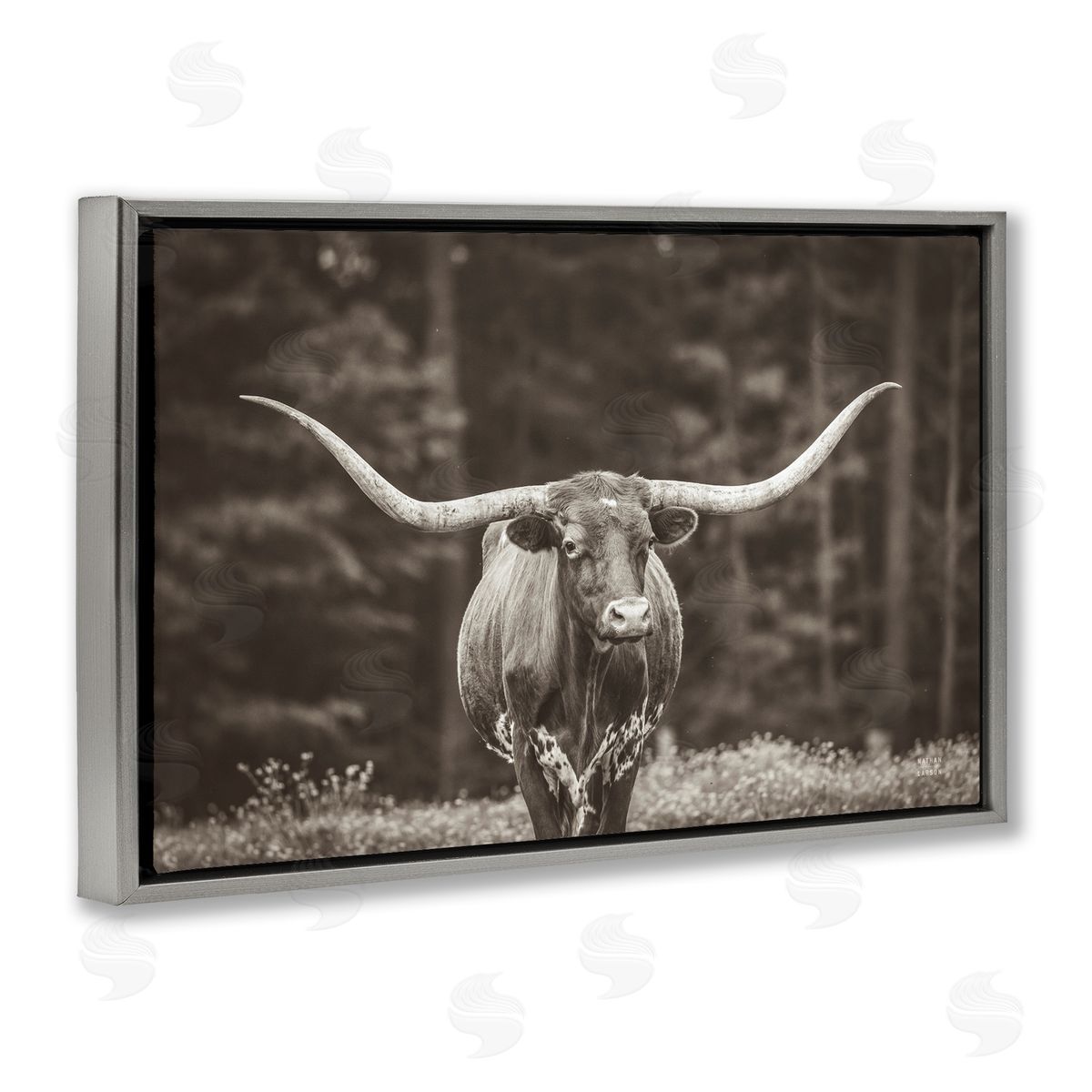 Longhorn Among Flowers Grey Floating Frame Canvas Wall Art, Home Decor by Nathan Larson