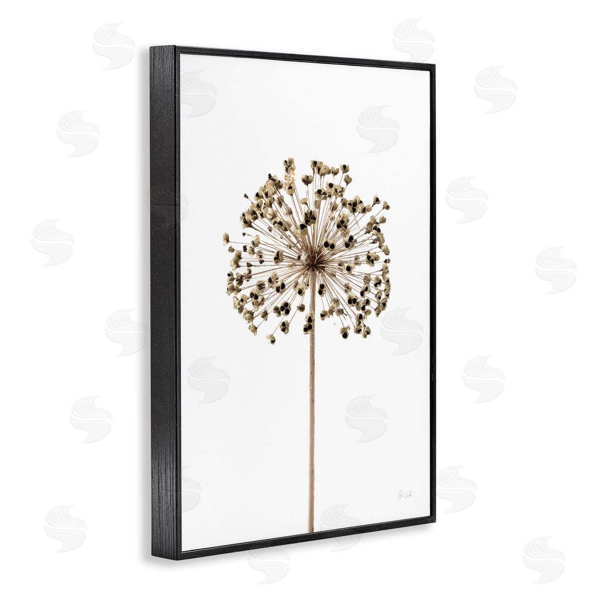 Minimal Allium Bud Black Frame Print Wall Art, Home Decor by Deborah Revell