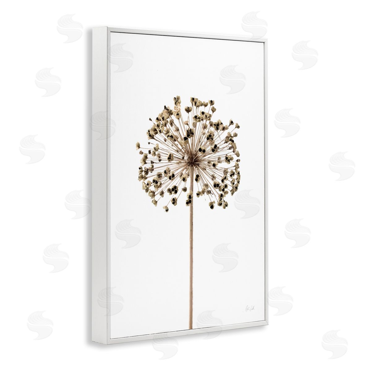 Minimal Allium Bud White Frame Print Wall Art, Home Decor by Deborah Revell