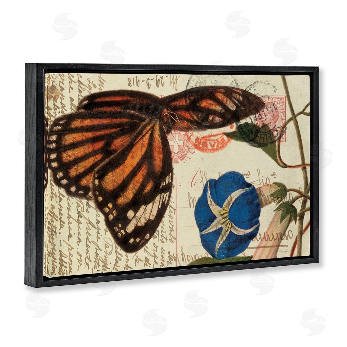 Vintage Postcard & Fauna Black Floating Frame Canvas Wall Art, Home Decor by Deborah Revell